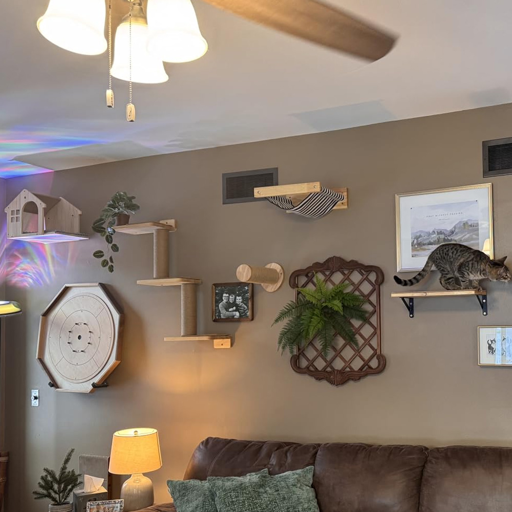 Cat Furniture Solid Wooden Sus - Furniture Paradise & Hardware Ghaziabad Reviews ulasan dan harga