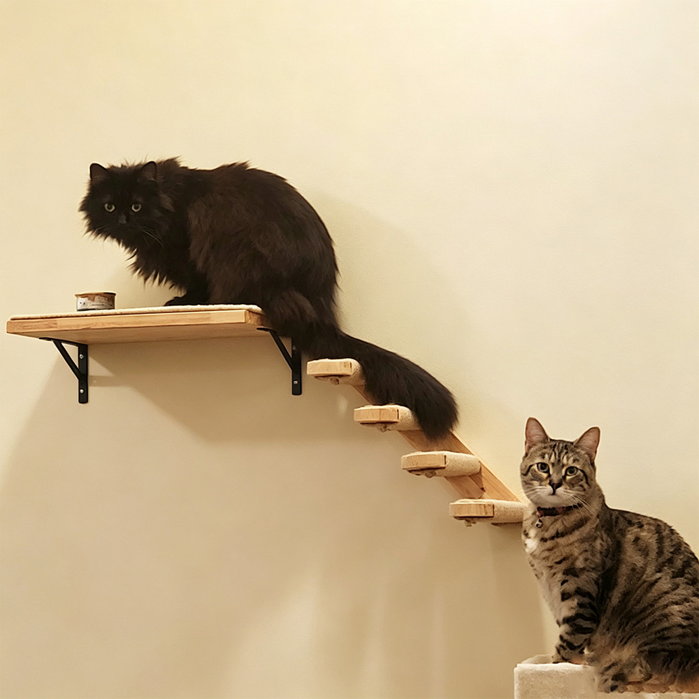 Cat Furniture Solid Wooden Sus - Furniture Paradise & Hardware Ghaziabad Reviews ulasan dan harga